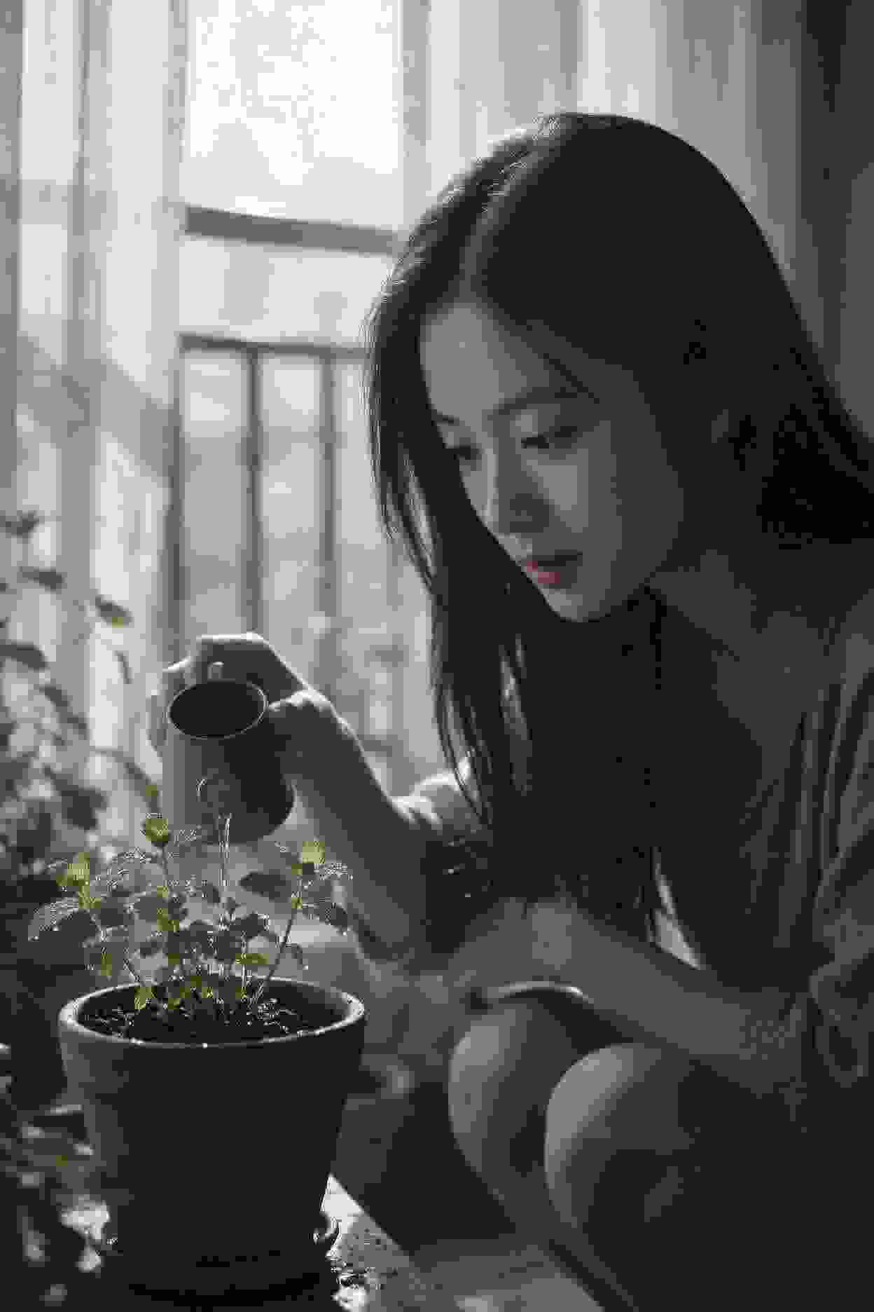 你好邻居